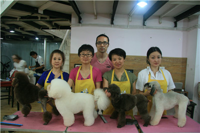 上海宠物美容学校收费多少 - 上海培训新闻