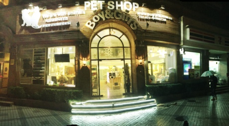 ۳ʦѧУ¸߶Ʒboygirls pet shop